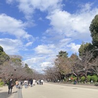 上野精養軒本店 グリル - 
