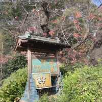 上野精養軒本店 グリル - 