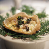 レフェルヴェソンス - 