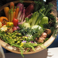 レフェルヴェソンス - 