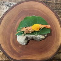 Terroir愛と胃袋 - 