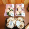 ふれあいの郷直売所 売店