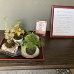 蕎麦 やすたけ - オシャレな植物♪