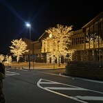 Mon loup - Illumination in Front of Nakakaruizawa Station