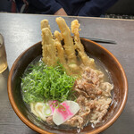 資さんうどん - 肉ごぼう天　ネギ増し