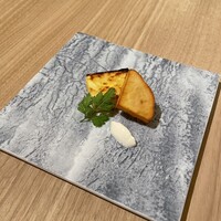 SCALAE - 