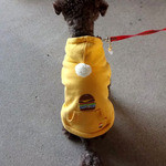 マグズカフェ - マグ店長の後ろ姿