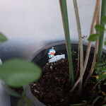 お料理 ちゃとら - 