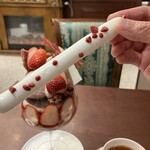 カカオティエゴカン - 