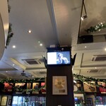 Hard Rock Cafe - 
