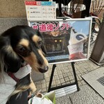 一六本舗 道後本館前店 - 