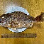 魚秀 - 我家の鯛①