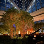 ピーク・ラウンジ - 