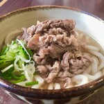 Kansaifuu Udon Kawahiro - 肉盛りうどん