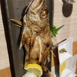 ひかる屋 ひかる - ノドグロ塩焼き　まずまず