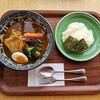 Rakkyo - 北海道産チキンと野菜のスープカレー(1850円)です。