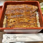 Unagi Hamana - 