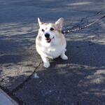 Bistronomie octobre - カレン・10才