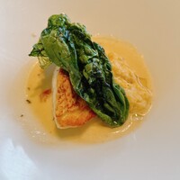 Wattle Tokyo - 