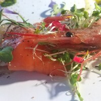 THE PENTHOUSE with weekend terrace - 