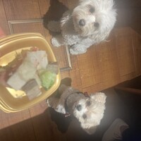 焼肉ぽんが 田町店 - 