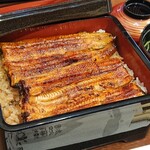 Unagi Hamana - 