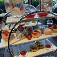 ゼックスウエスト ザ バー - 