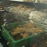 北のランプ亭 - 