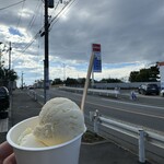 Hilo Homemade Ice Cream - 