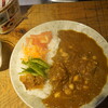 TOKYO SPICE ななCURRY 青山