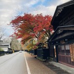 桜の里 - 