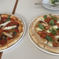 CODA ROSSA -  CODA ROSSA -