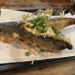 沖縄創作居酒屋 天の川食堂 てぃんがーら - 