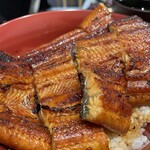 Taishuu Unagi No Mise Unadai - 