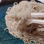 Hashimoto Teuchi Soba - 