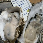 FAST OYSTERS - 