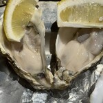 FAST OYSTERS - 