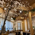 Sakura Kicchin Kafe - 