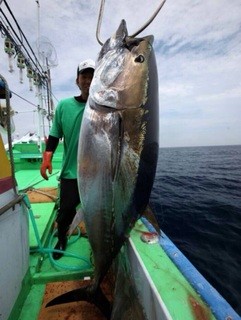 Maguroya Naporeon - 漁師さんが釣ったマグロを一本買い！スタッフの馬場さん自らが解体します♪安く提供できる理由はココにある！
                        