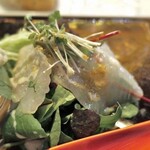 イルクオーレ ピアットスズキ - 白身魚のカルパッチョ