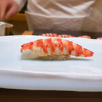 鮨 なんば - 車海老