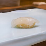 鮨 なんば - 白いか