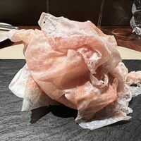 スガラボヴィー - 