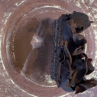 厳選洋食さくらい - 