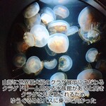 鶴岡市立加茂水族館 売店 - 