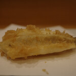 Tempura Horikawa - 