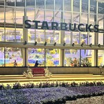 STARBUCKS COFFEE - 