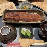 うなぎ四代目菊川 ミッドランドスクエア 名古屋本店 - 