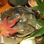 銀座 やまの辺 江戸中華 - 