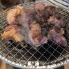 大衆焼肉ホルモン 溝の口 ひゃくてん